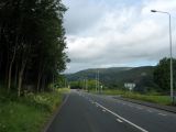 IMG_0279