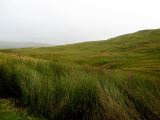 IMG_0306