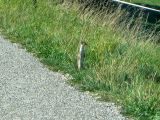 IMG_0014