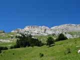 IMG_0017