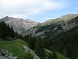 IMG_0213