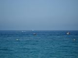 IMG_0271
