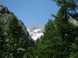 IMG_0304