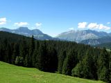 IMG_0037