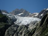 IMG_0309