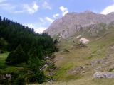 Suivant