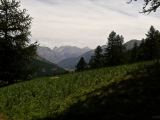 2013-08-06 12.49.53