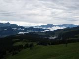 IMG_0351