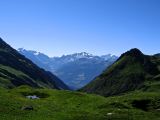 IMG_0085