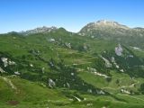 IMG_0095
