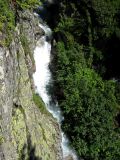 IMG_0115